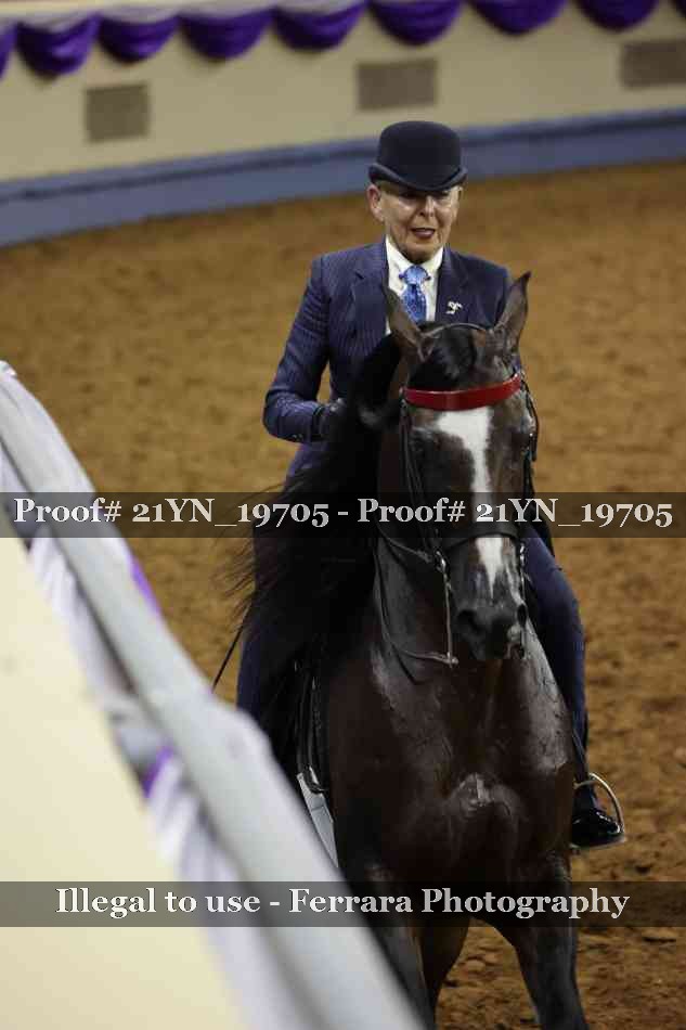 Proof Number 21YN_19705