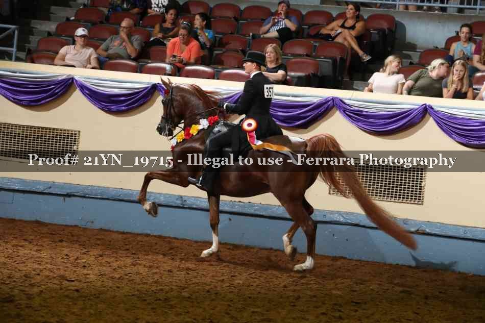 Proof Number 21YN_19715