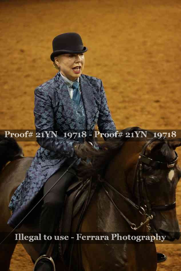 Proof Number 21YN_19718