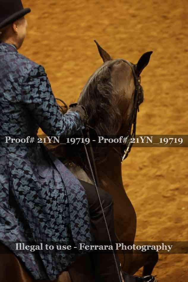 Proof Number 21YN_19719