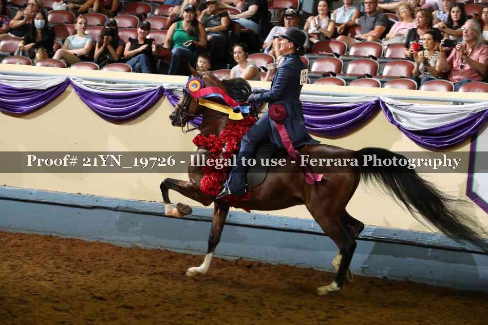 Proof Number 21YN_19726