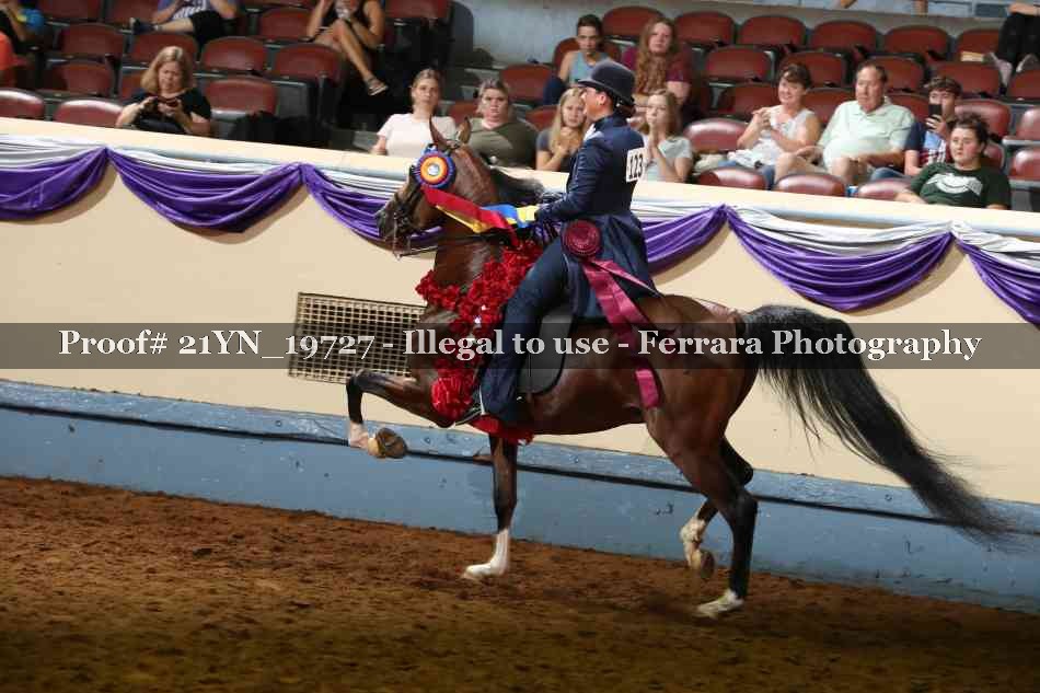 Proof Number 21YN_19727