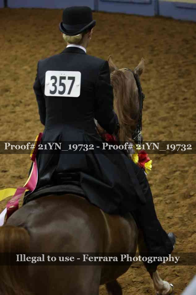 Proof Number 21YN_19732