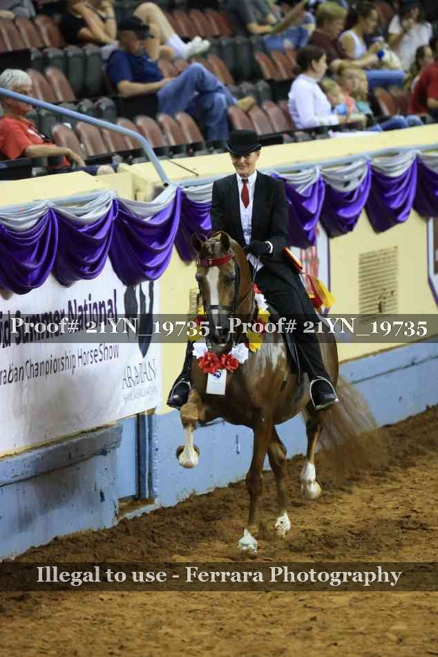 Proof Number 21YN_19735
