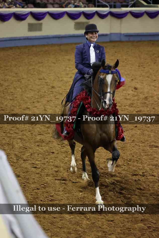 Proof Number 21YN_19737