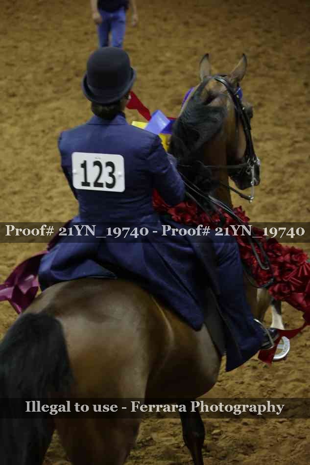 Proof Number 21YN_19740