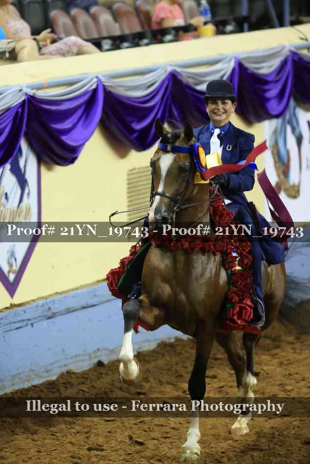Proof Number 21YN_19743