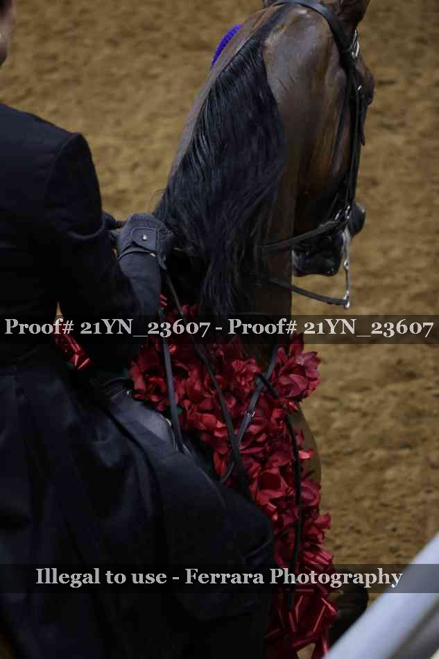 Proof Number 21YN_23607