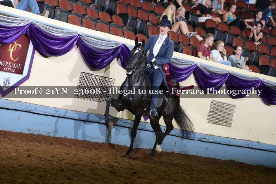 Proof Number 21YN_23608
