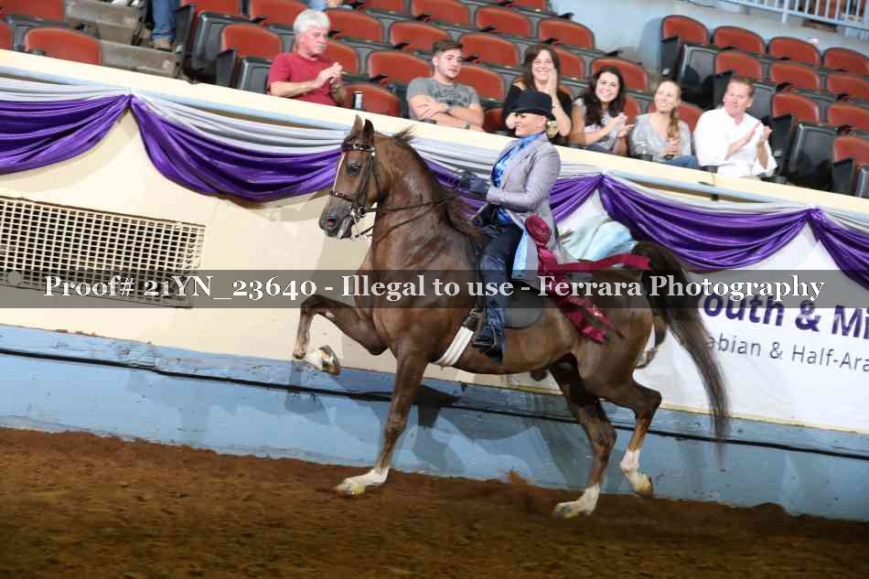 Proof Number 21YN_23640