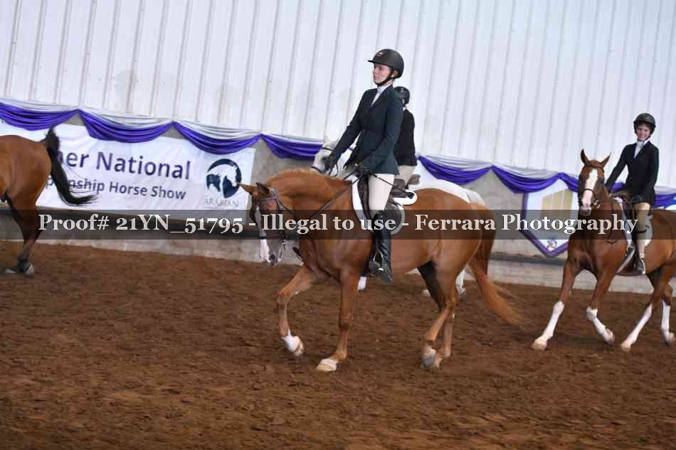 Proof Number 21YN_51795