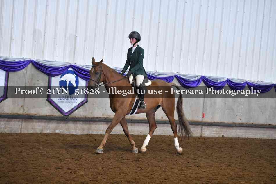 Proof Number 21YN_51828