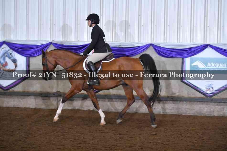 Proof Number 21YN_51832