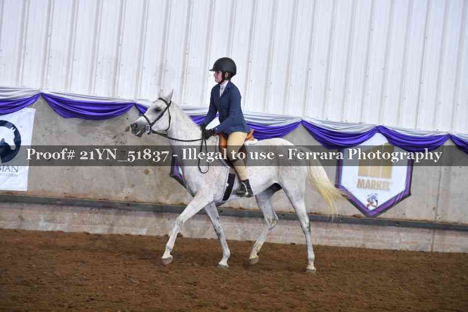 Proof Number 21YN_51837