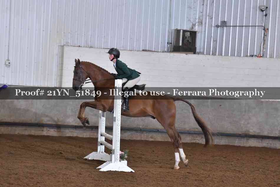 Proof Number 21YN_51849