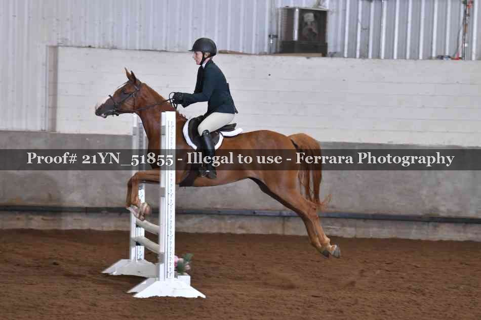 Proof Number 21YN_51855