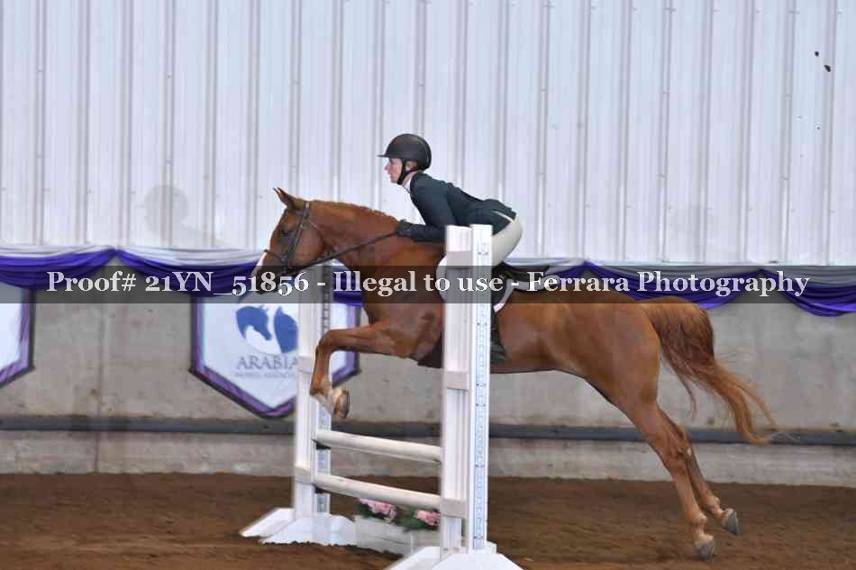 Proof Number 21YN_51856