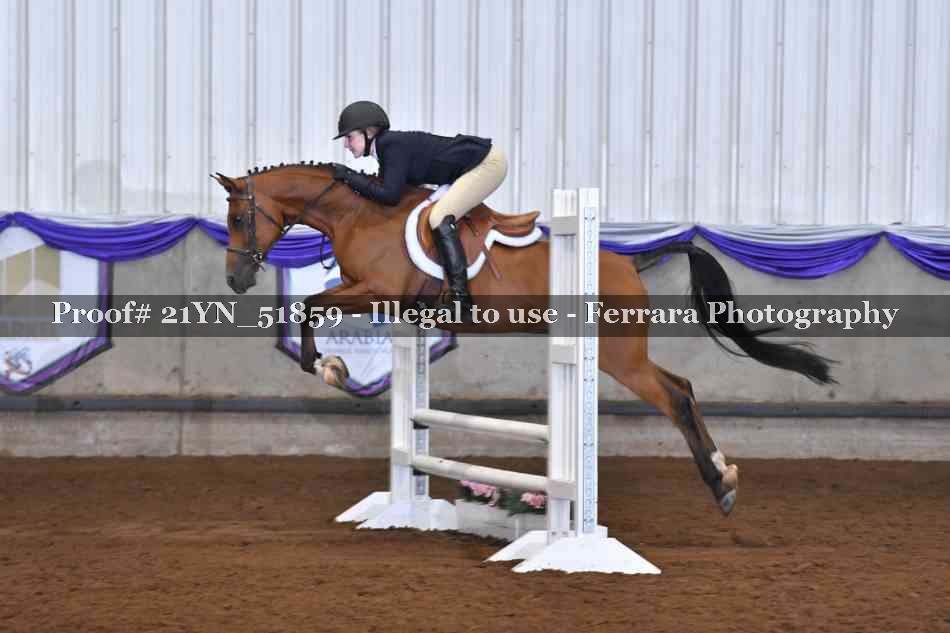 Proof Number 21YN_51859