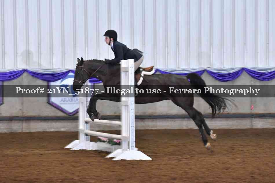Proof Number 21YN_51877