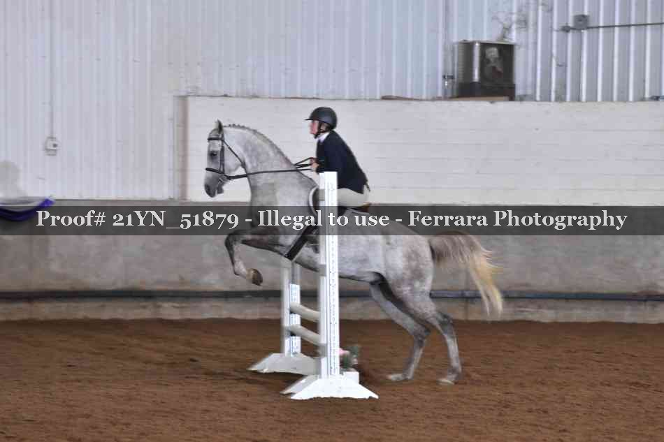 Proof Number 21YN_51879