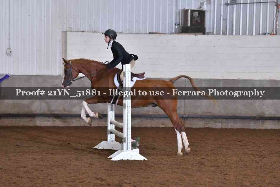 Proof Number 21YN_51881