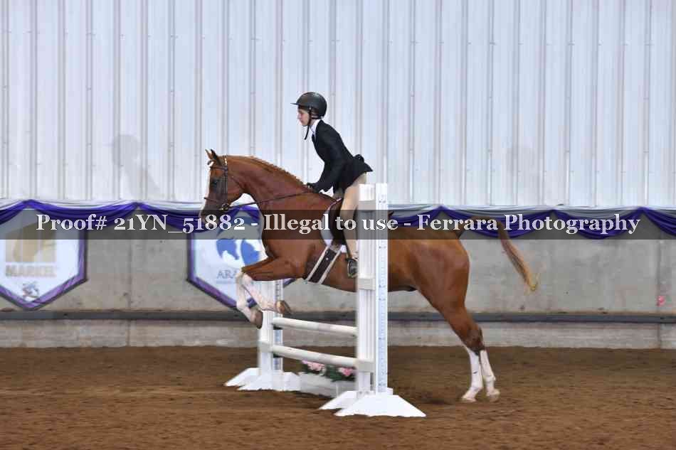 Proof Number 21YN_51882
