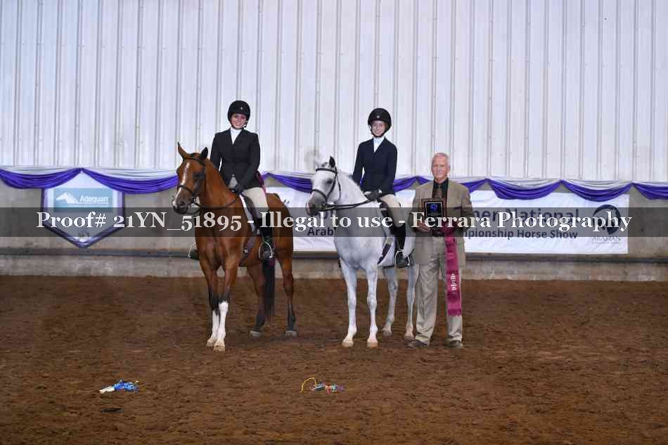 Proof Number 21YN_51895