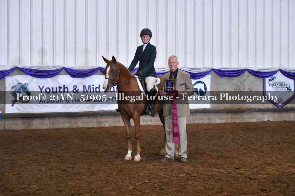 Proof Number 21YN_51905
