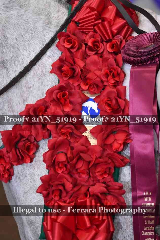 Proof Number 21YN_51919