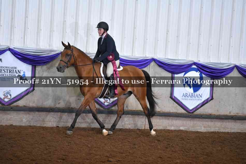 Proof Number 21YN_51954