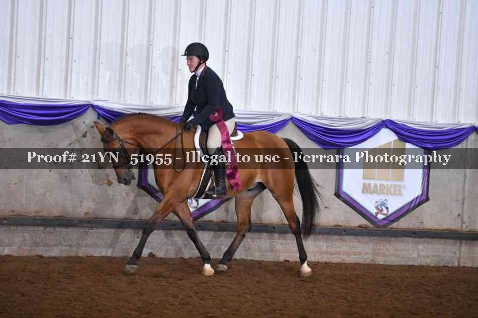 Proof Number 21YN_51955