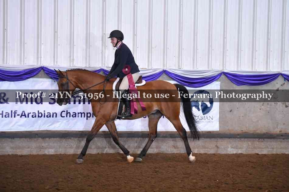Proof Number 21YN_51956