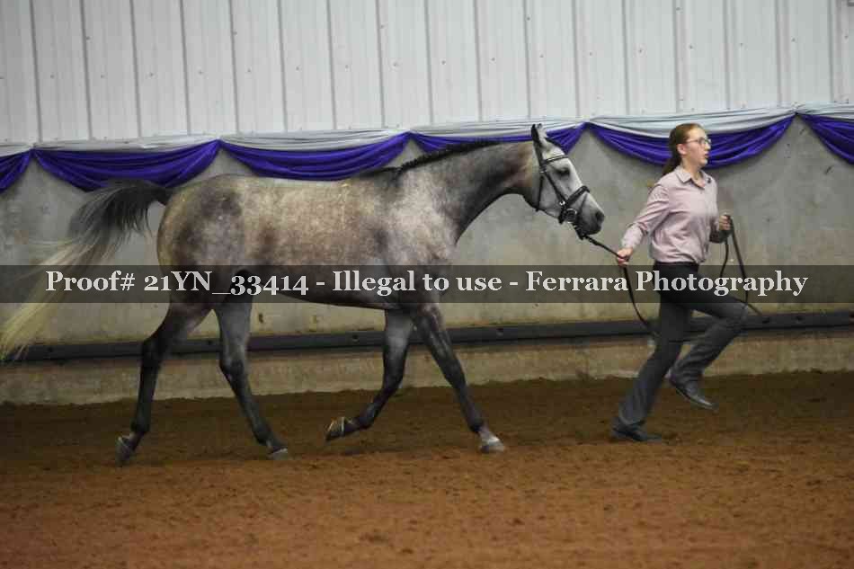 Proof Number 21YN_33414