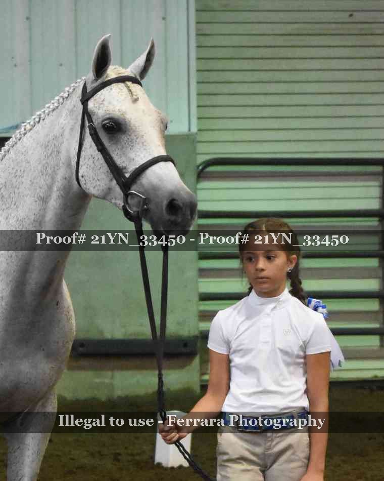 Proof Number 21YN_33450