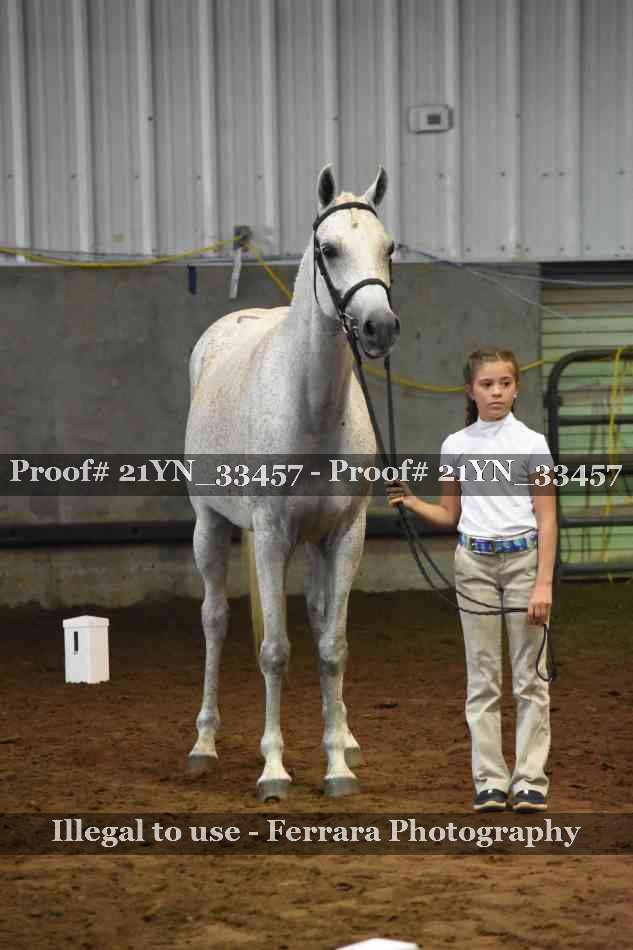 Proof Number 21YN_33457