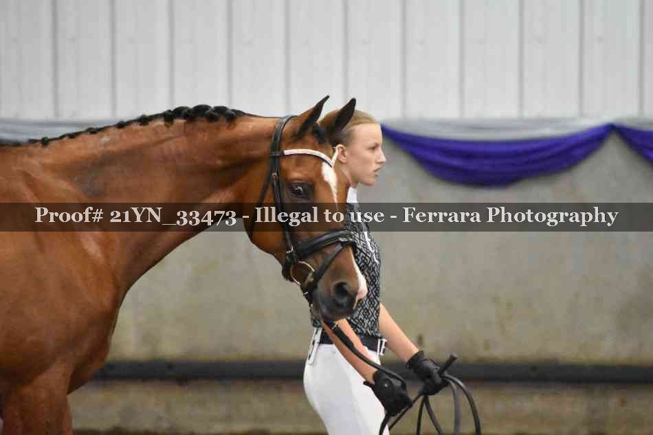 Proof Number 21YN_33473