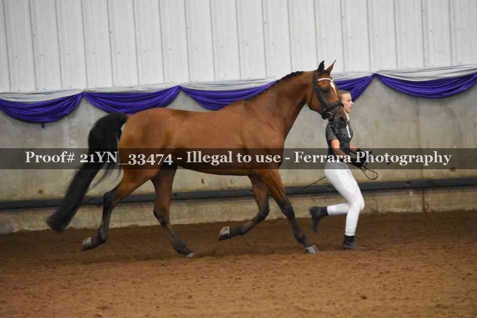 Proof Number 21YN_33474