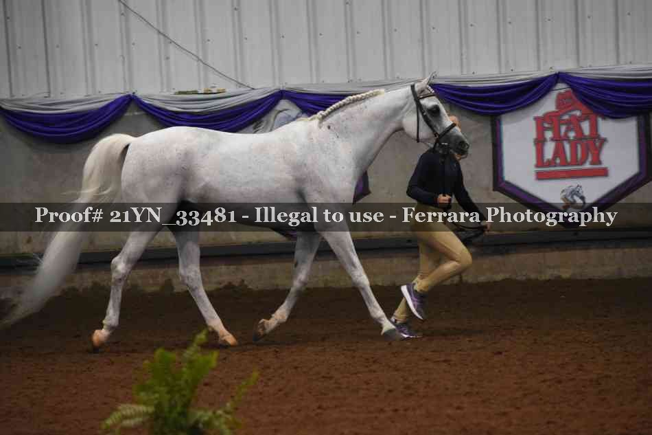 Proof Number 21YN_33481