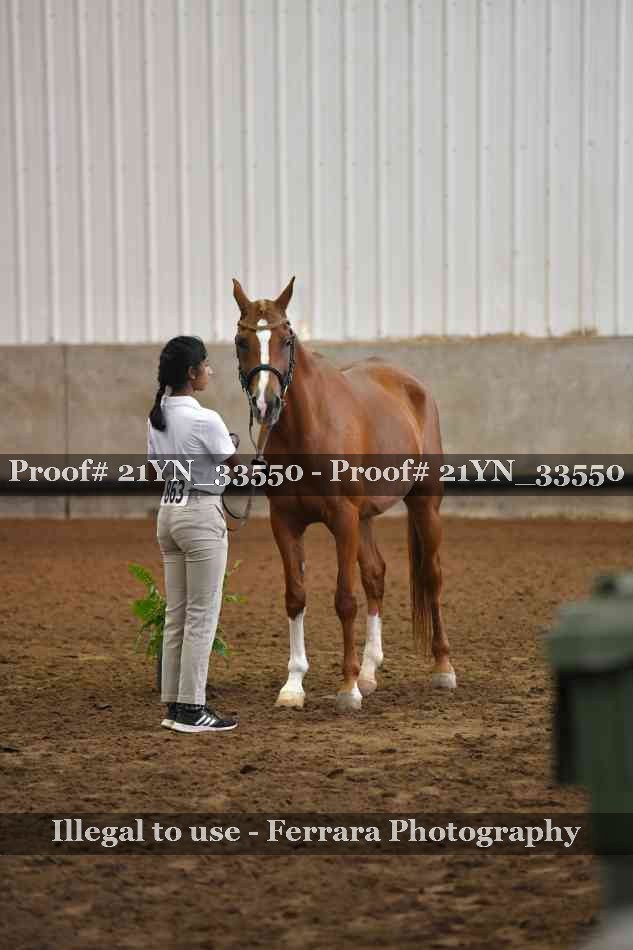 Proof Number 21YN_33550