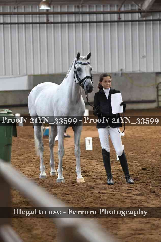 Proof Number 21YN_33599