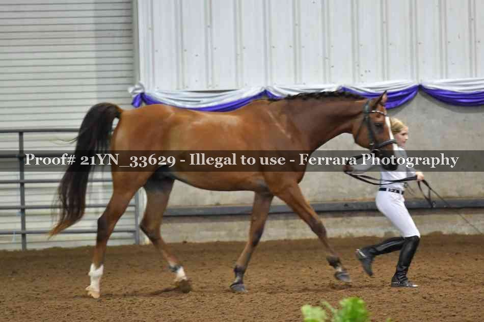 Proof Number 21YN_33629