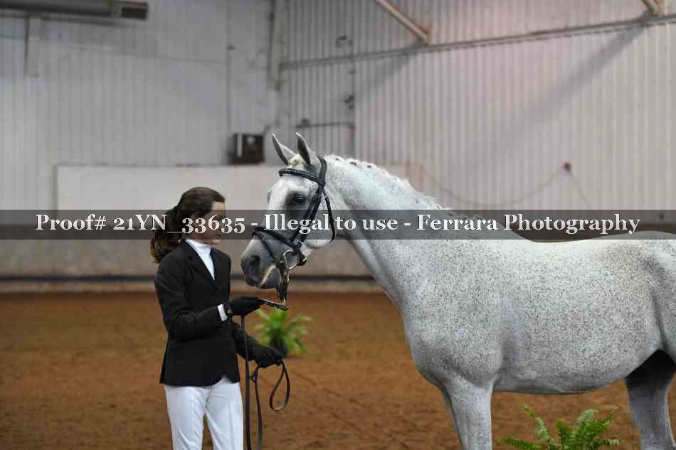 Proof Number 21YN_33635