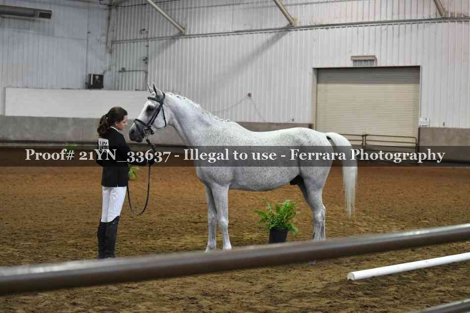 Proof Number 21YN_33637
