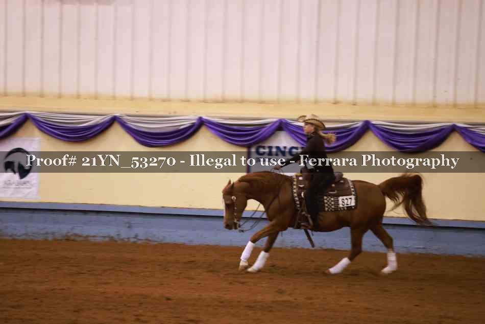 Proof Number 21YN_53270