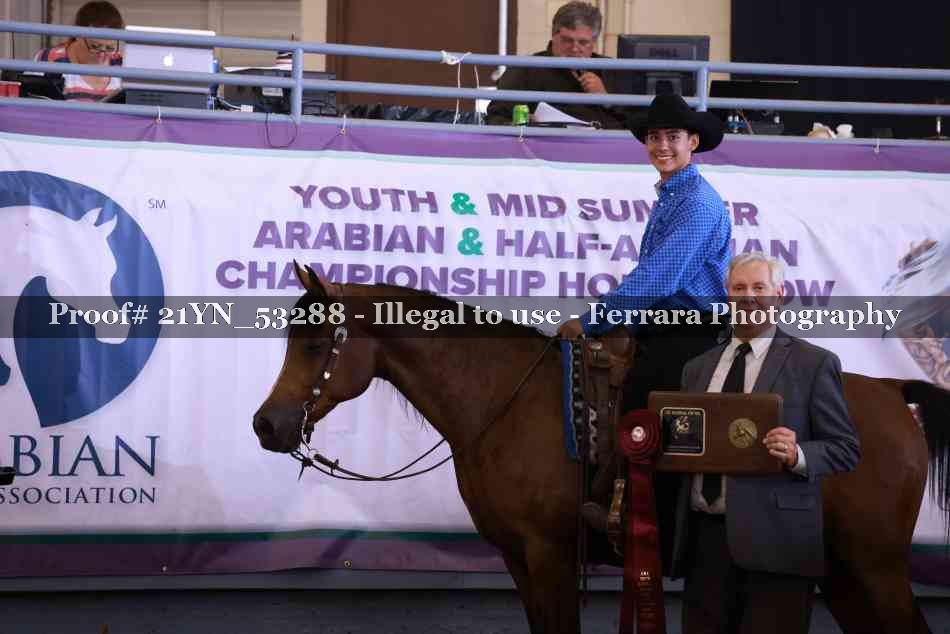 Proof Number 21YN_53288