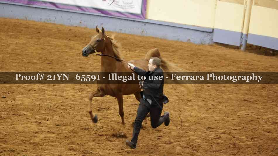 Proof Number 21YN_65591