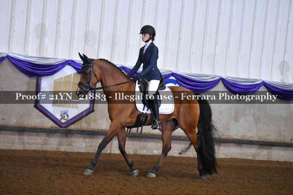 Proof Number 21YN_21883