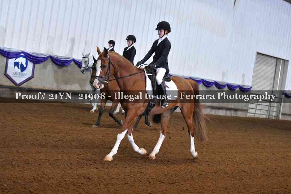 Proof Number 21YN_21908