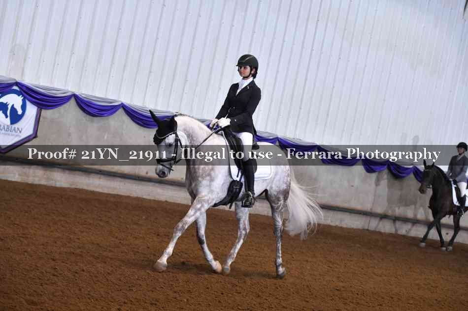 Proof Number 21YN_21911
