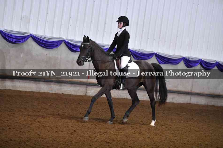 Proof Number 21YN_21921